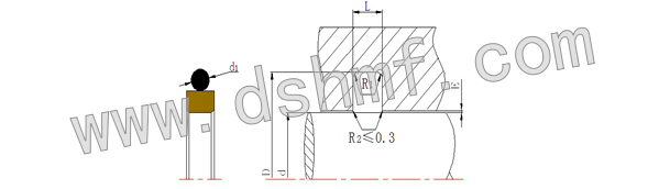 DSR方型組合o型密封圈型號(hào)規(guī)格表 DSR方型組合o型密封圈型號(hào)規(guī)格表