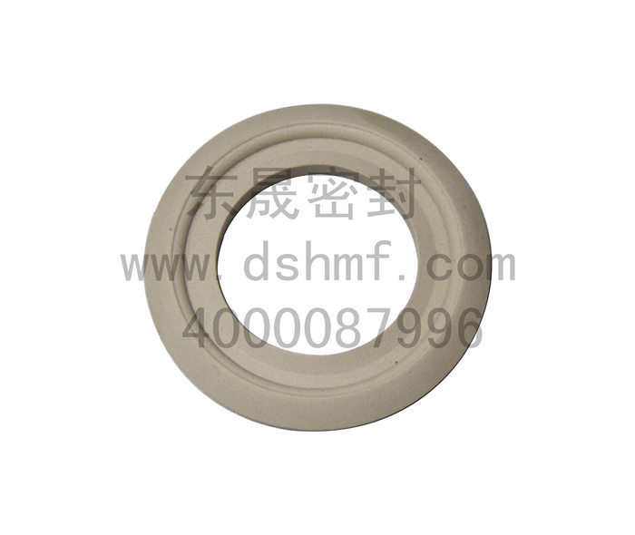 密封件，墊片產(chǎn)品
