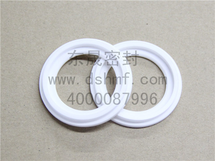 陶瓷密封件，密封圈