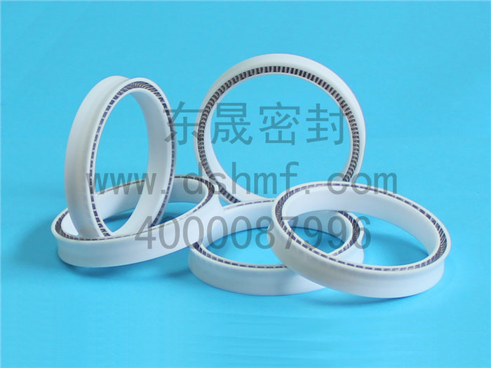 PTFE泛塞封密封件產(chǎn)品 PTFE泛塞封密封件產(chǎn)品