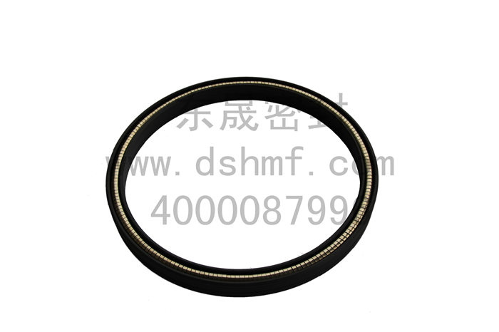 泛塞封，密封圈，密封件，產(chǎn)品