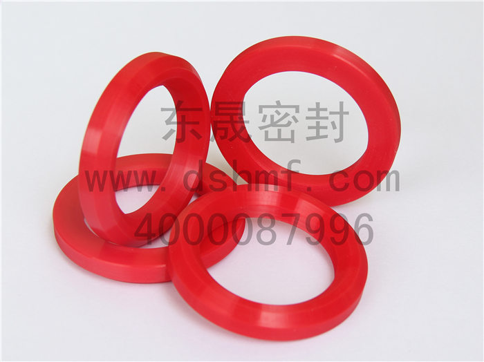 V型圈，密封件產(chǎn)品