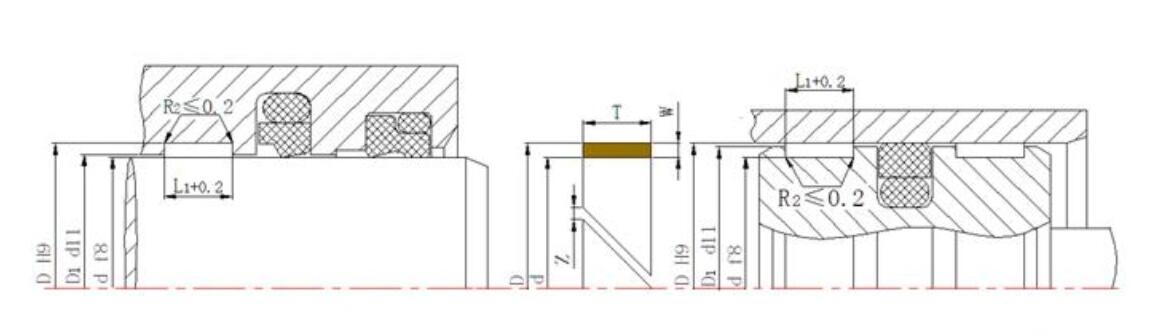 導向帶DST1截面圖