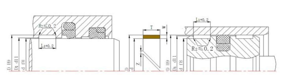導向環DST3截面圖