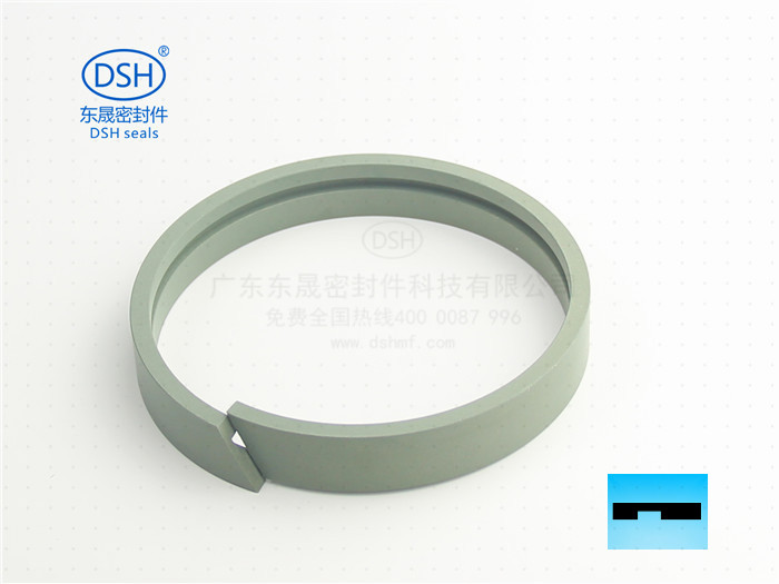 孔用導向帶,密封環