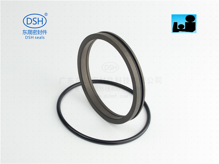 雙O型組合防塵圈DPR - 防塵密封圈系列,聚四氟乙烯密封件,油缸、氣缸行業專用密封件圈|廣東東晟密封件科技有限公司