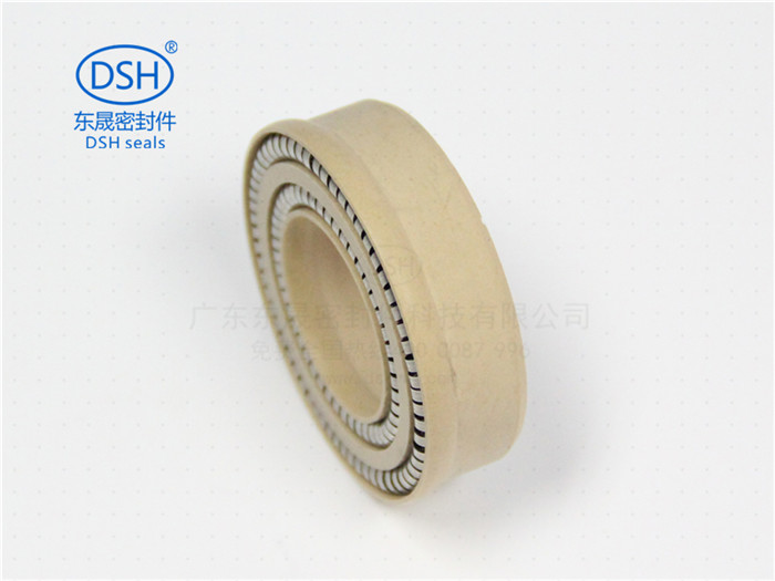 泛塞封,彈簧張力泛塞封 泛塞封,彈簧張力泛塞封