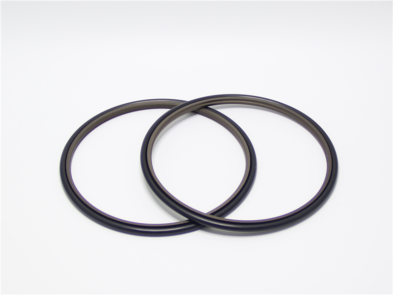 斯特封 密封件 斯特封 密封件