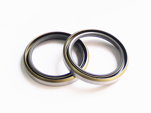 氣門(mén)油封,密封圈