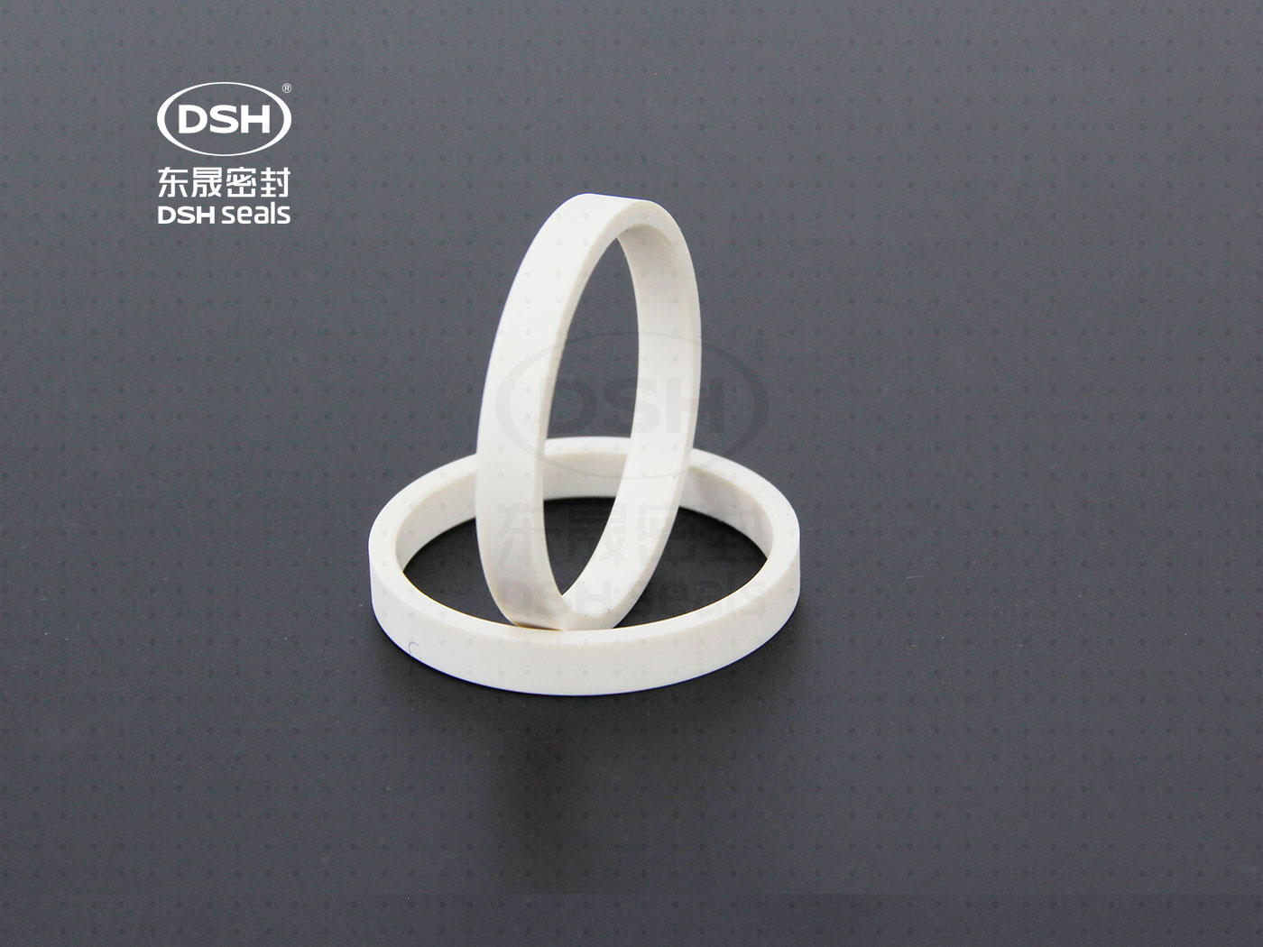 工程塑膠導向環（高溫導向密封環）