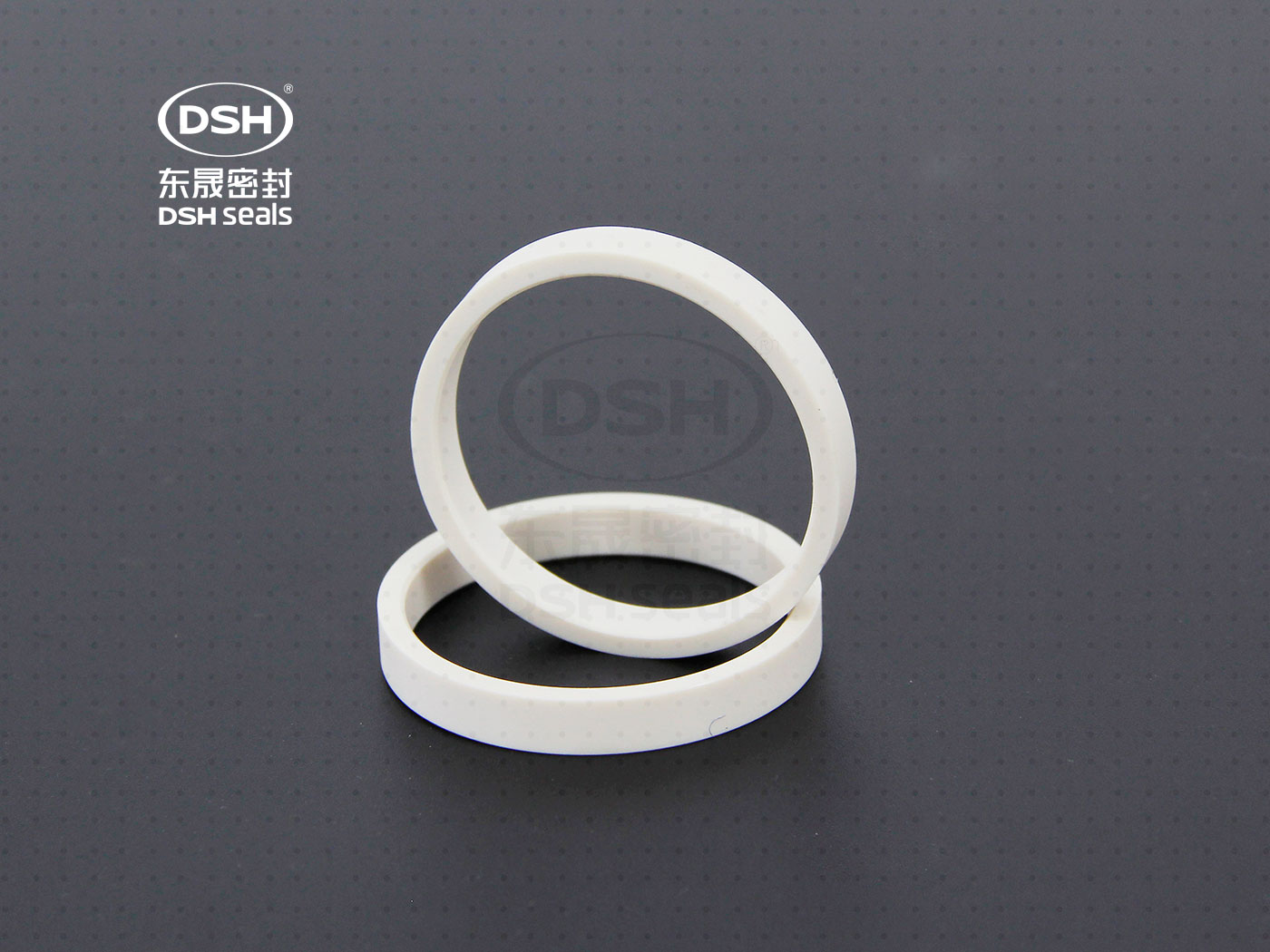 工程塑膠導向環（高溫導向密封環）