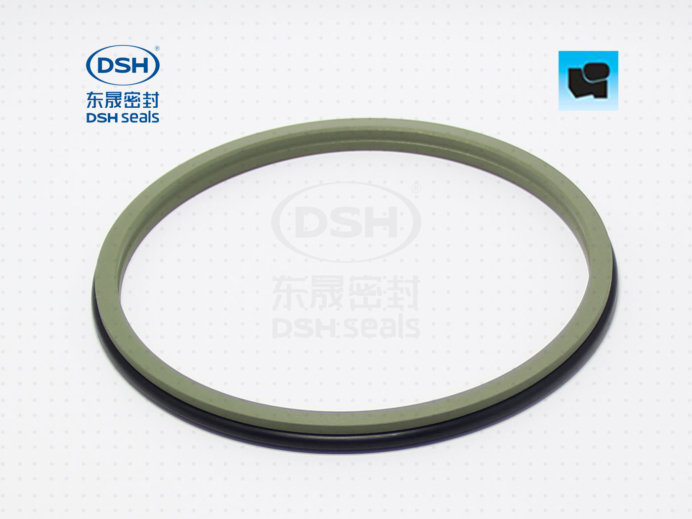 組合防塵圈DSZ - 防塵圈系列,聚四氟乙烯密封件,應用于油缸/氣缸行業專用密封件圈。 組合防塵圈DSZ - 防塵圈系列,聚四氟乙烯密封件,應用于油缸/氣缸行業專用密封件圈。