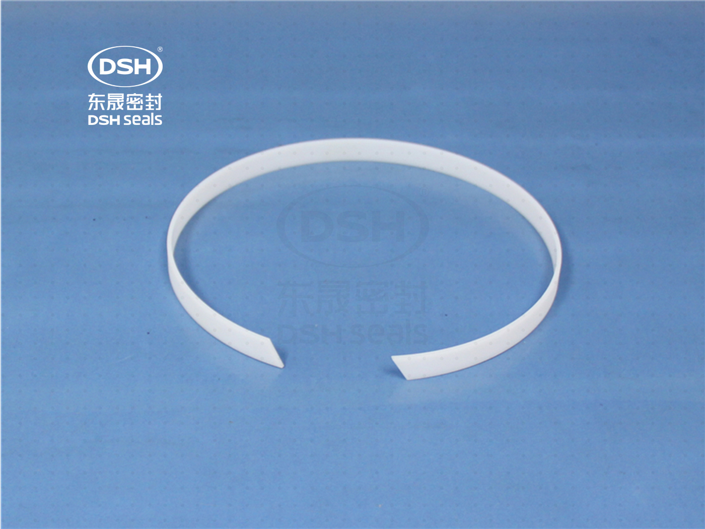 食品級密封件,導向環DST