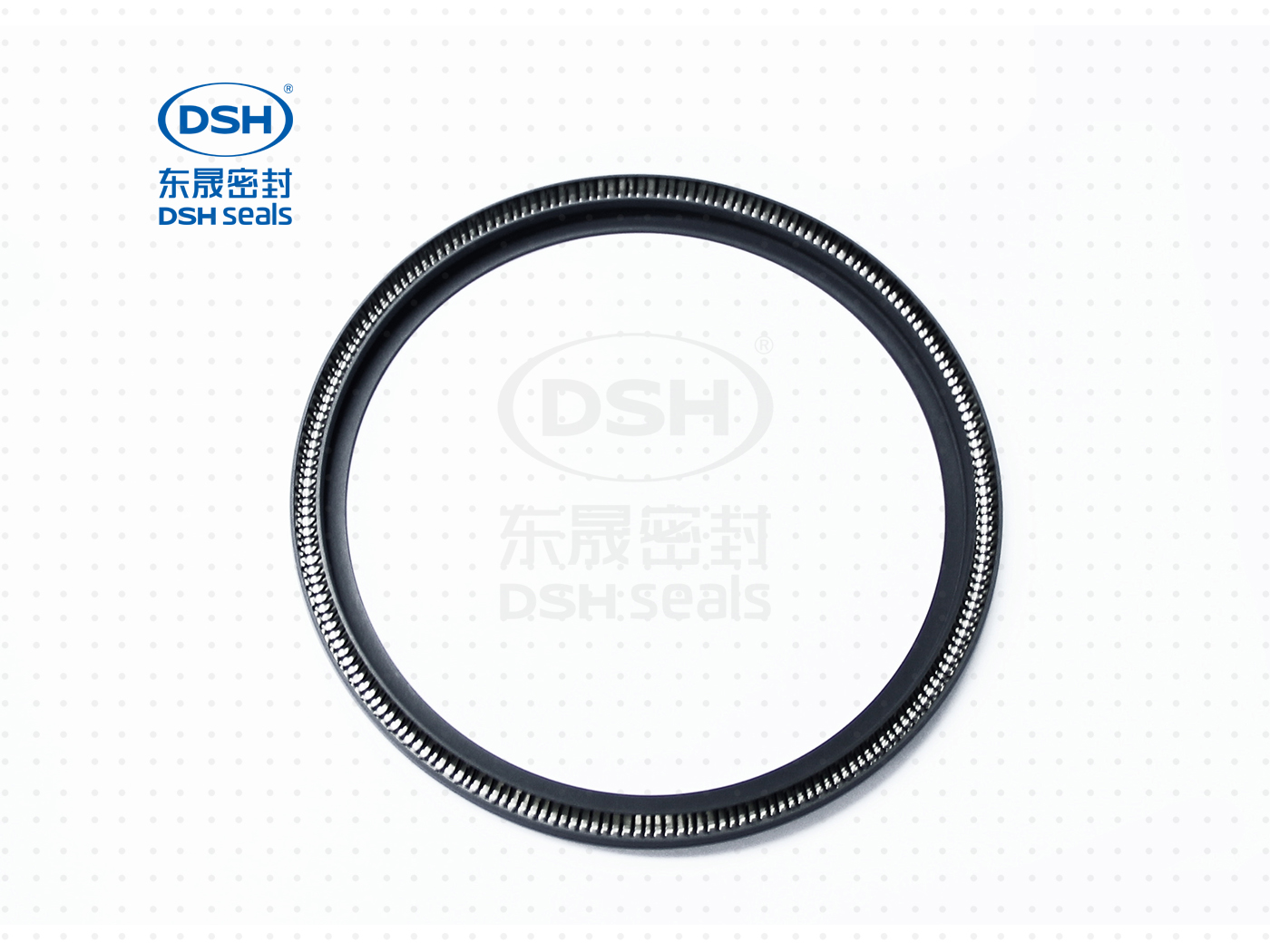 泛塞密封圈  泛塞密封圈（泛塞封密封圈） - 密封圈，泛塞封應用！怕漏洞，裝東晟油封！