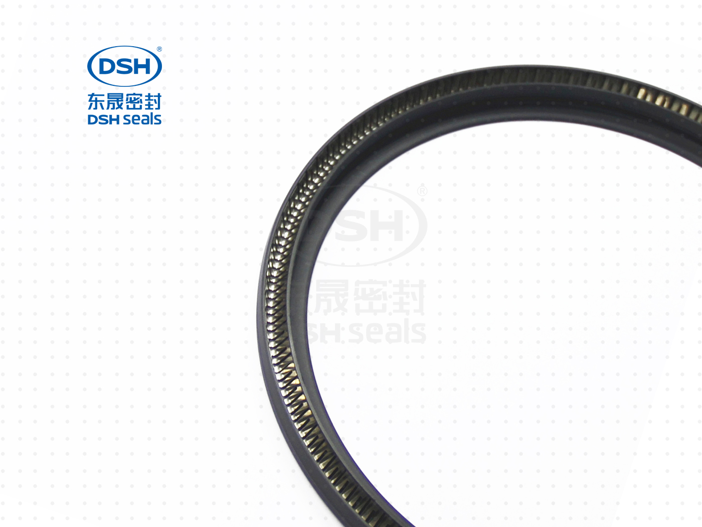 泛塞密封圈  泛塞密封圈（泛塞封密封圈） - 密封圈，泛塞封應用！怕漏洞，裝東晟油封！