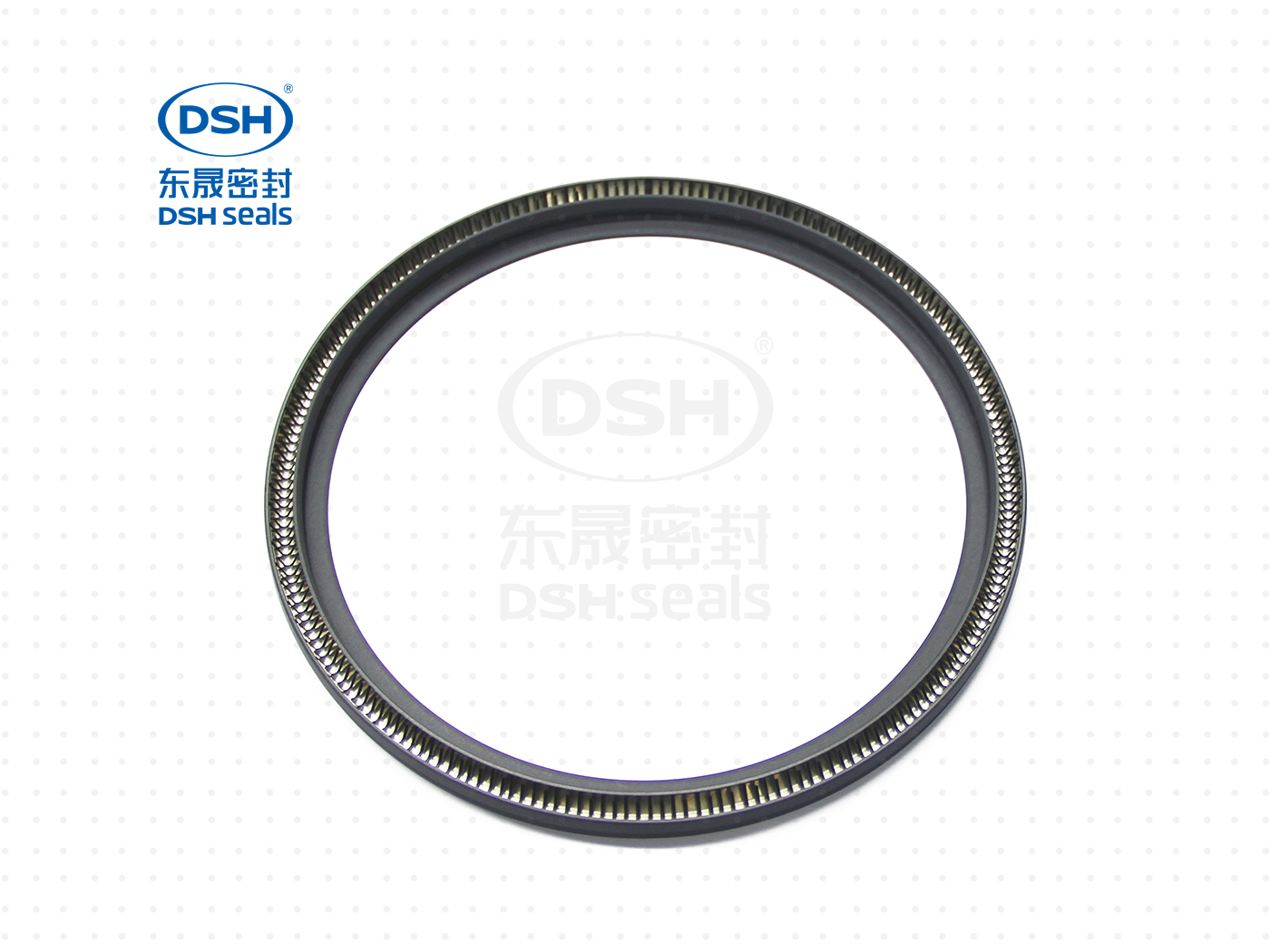泛塞密封圈  泛塞密封圈（泛塞封密封圈） - 密封圈，泛塞封應用！怕漏洞，裝東晟油封！