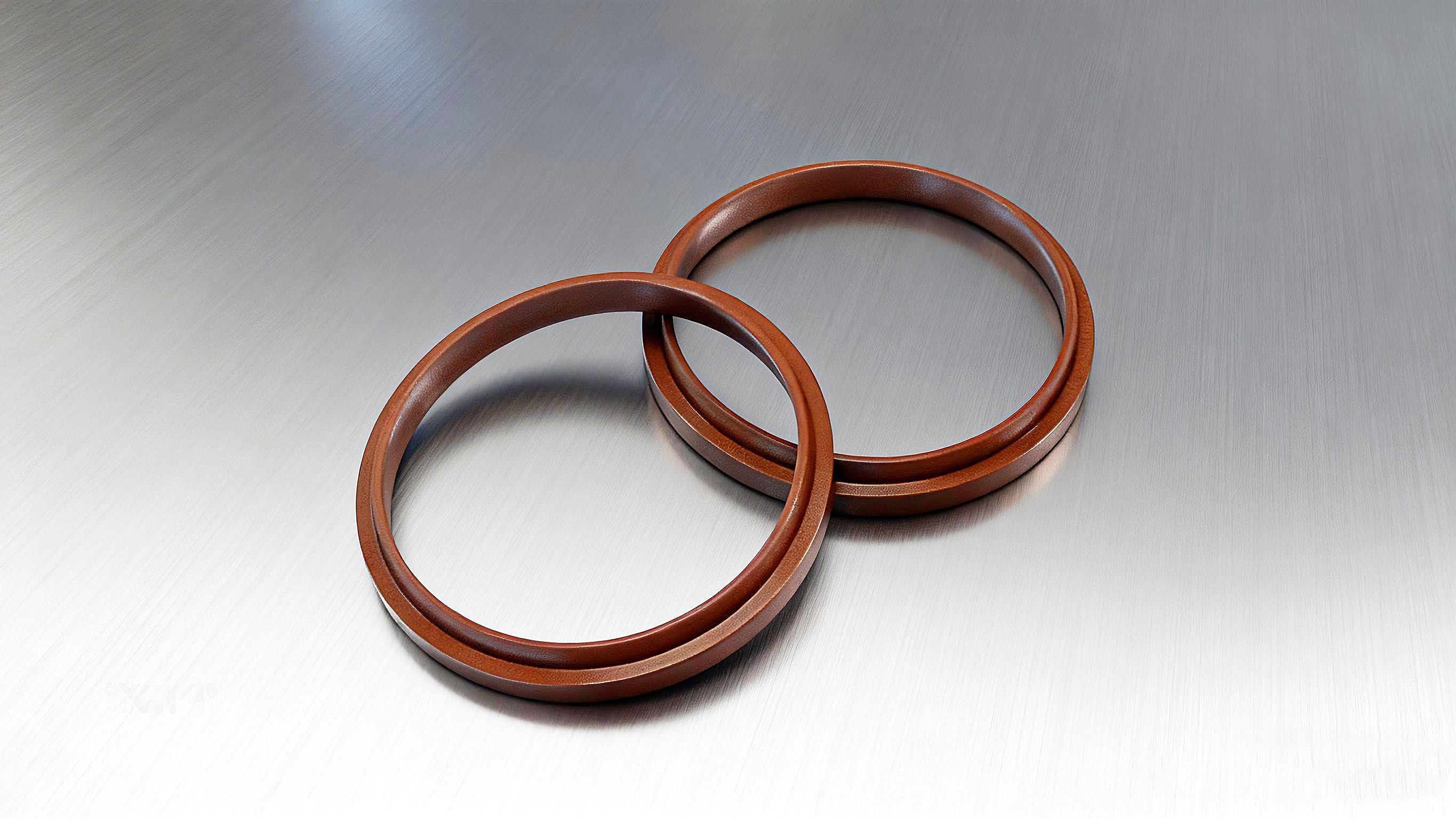 氟橡膠防塵圈 (2)