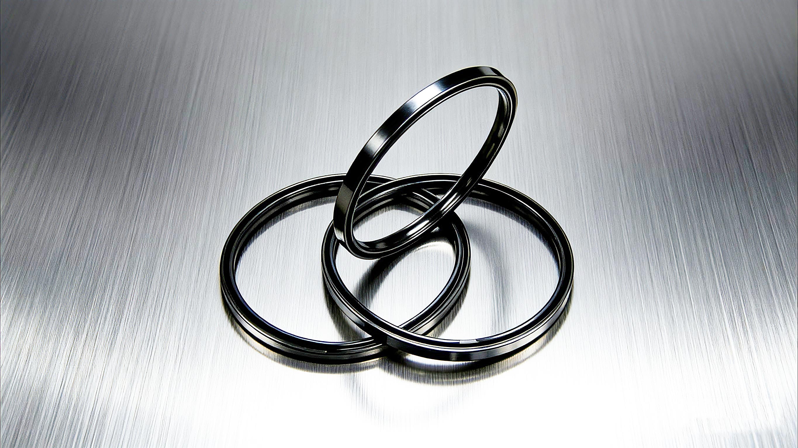 氣動(dòng)密封件2000 (2)