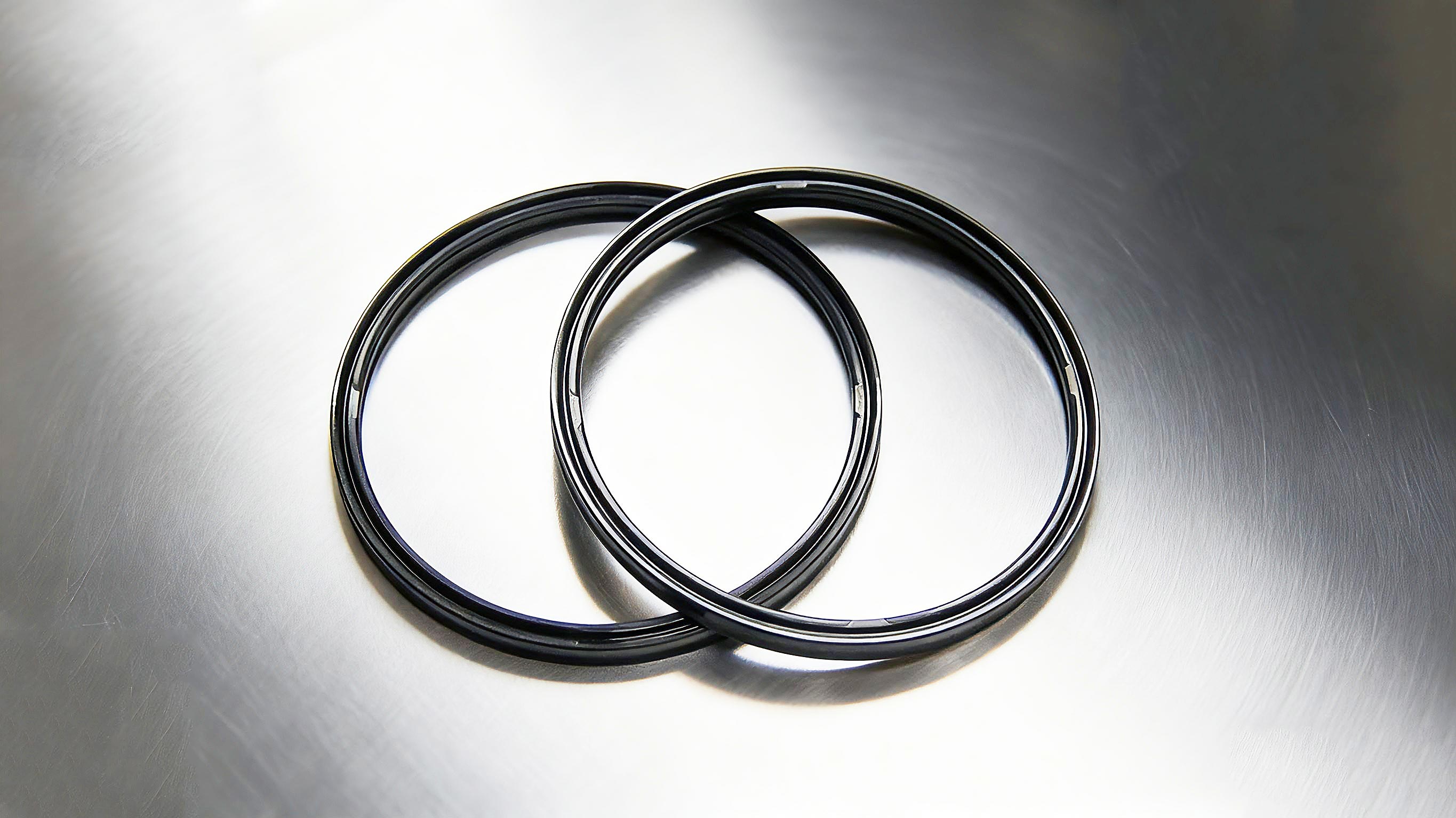 氣動(dòng)密封件2000 (2)