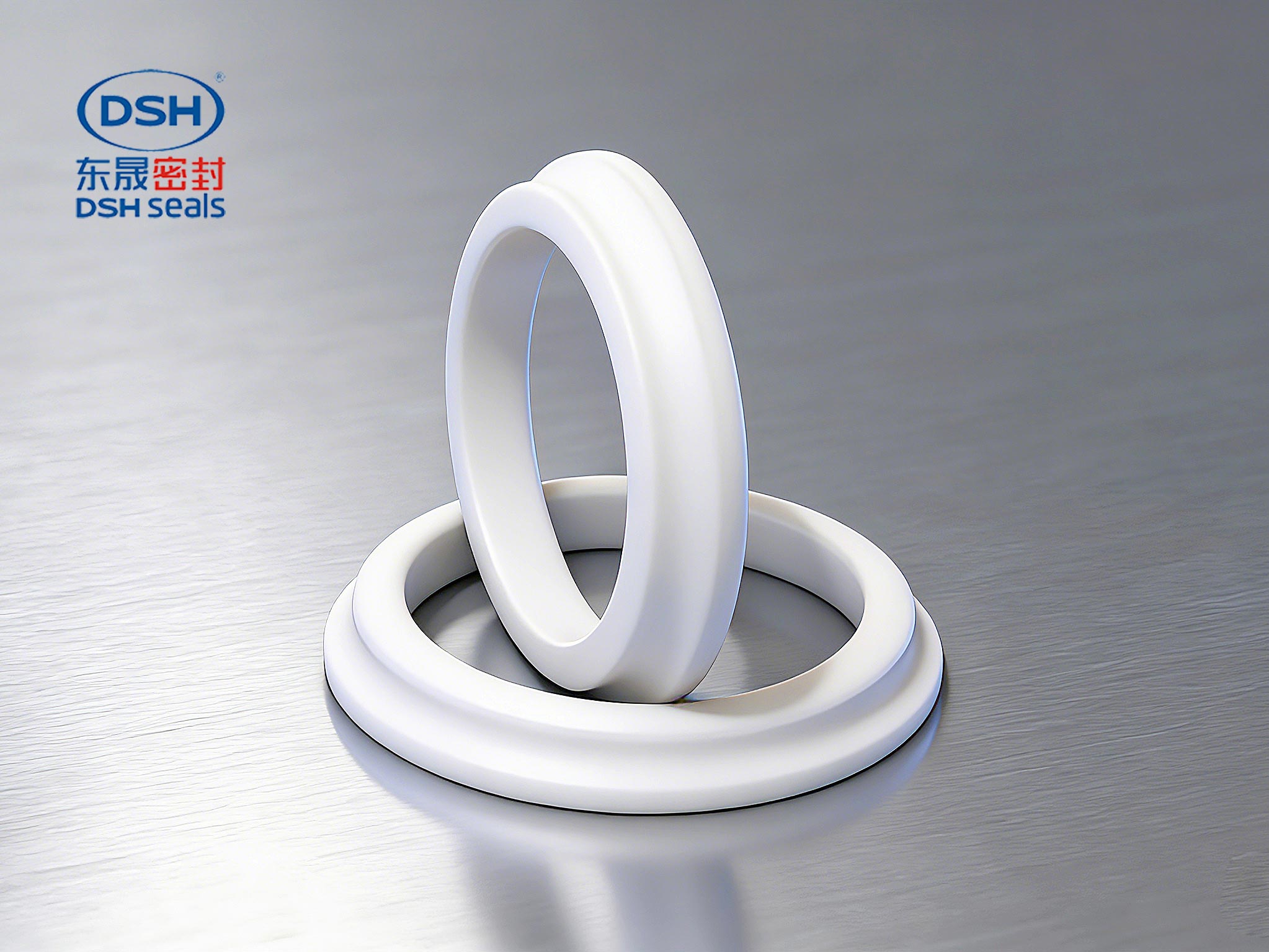 防塵圈DSZ - 定制防塵圈是除去往復運動活塞桿露在缸外部表面上所附著的塵土、灰砂、雨水及冰霜等污物……