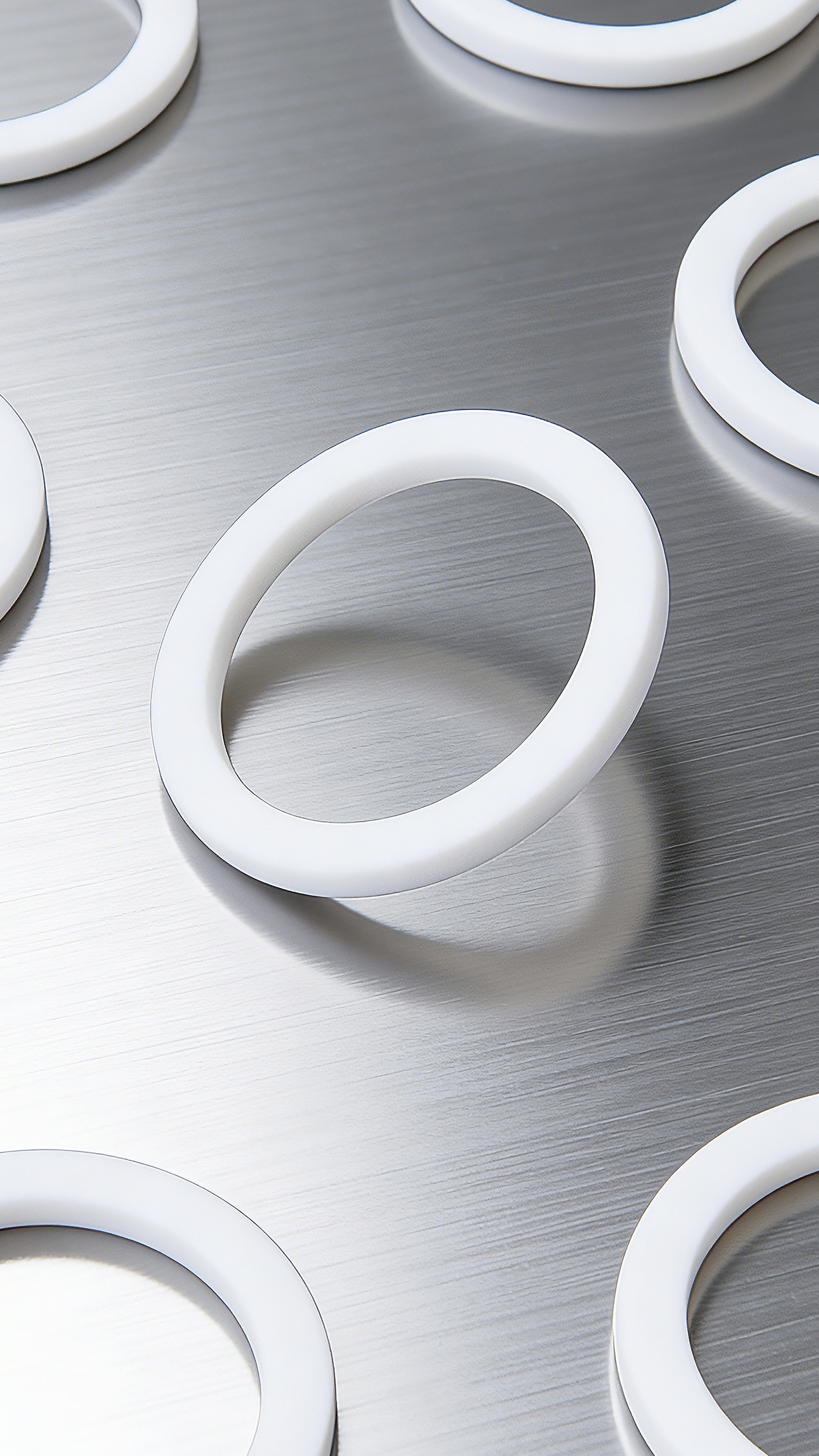 食品機(jī)械墊片DRT-2000 (2)