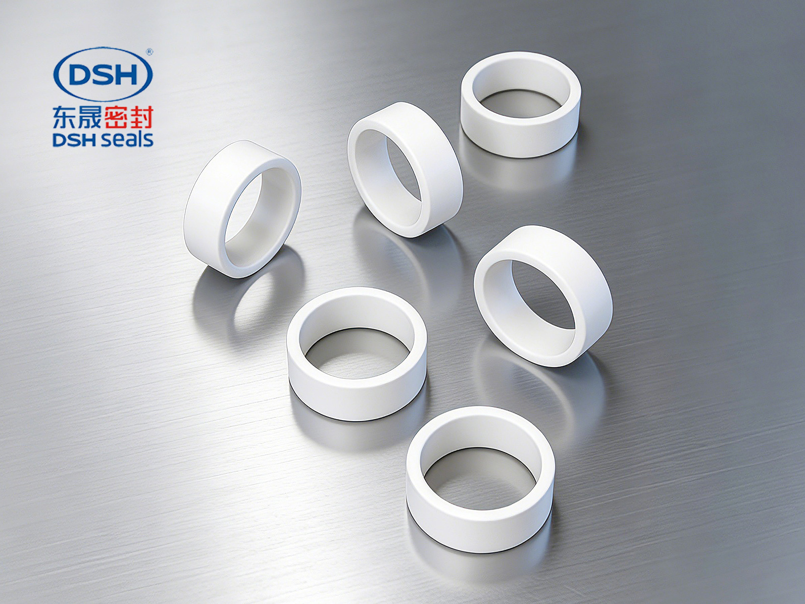 食品機(jī)械液壓導(dǎo)向環(huán)DST