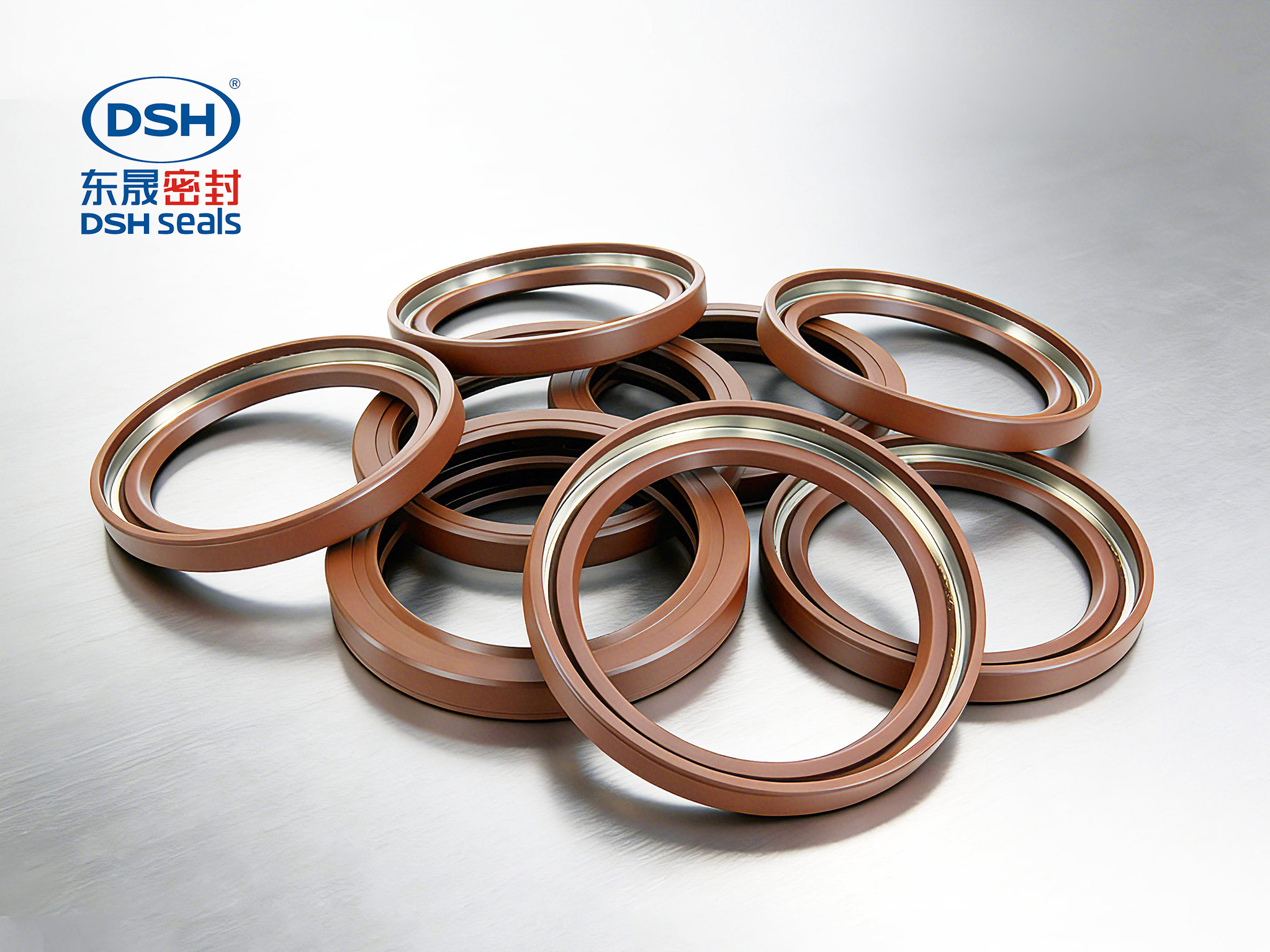 雙唇型骨架橡膠油封