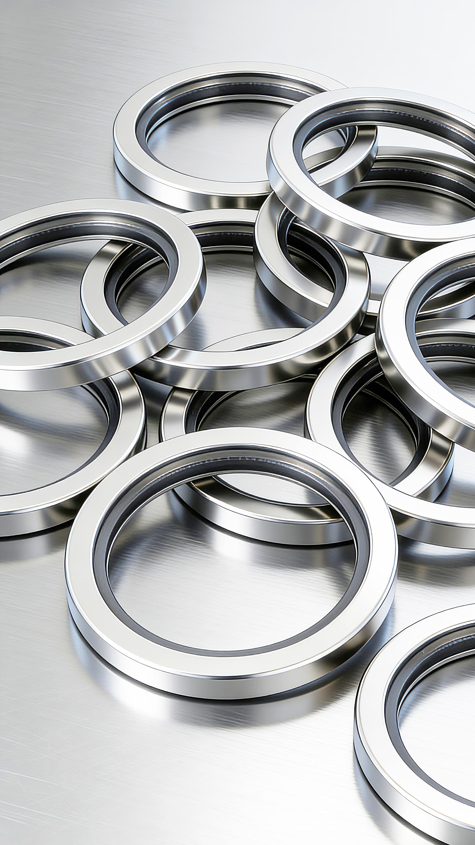 不銹鋼油封A型-2000 (2)