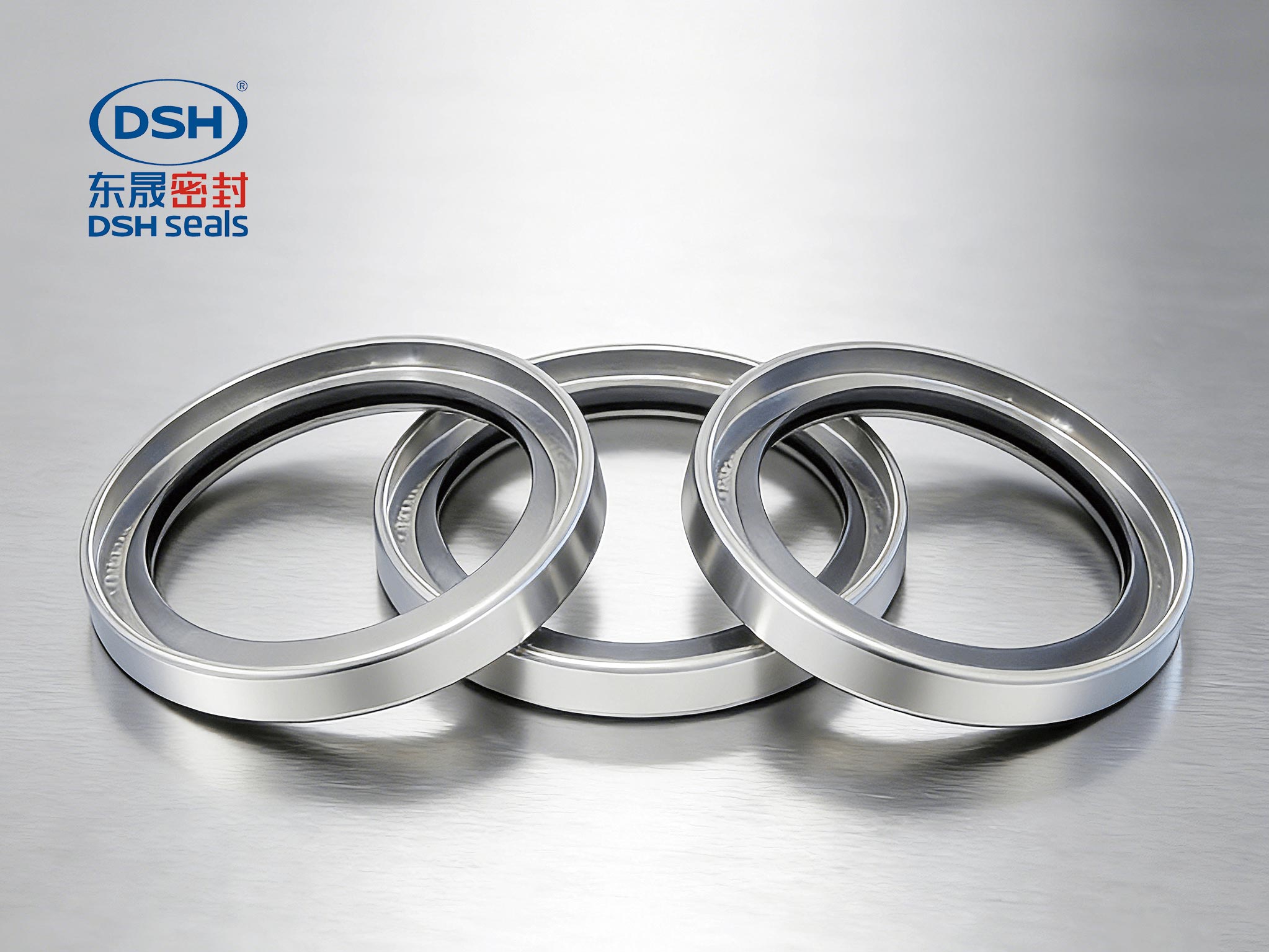 不銹鋼油封A型-2000 (2) 不銹鋼油封A型-2000 (2)