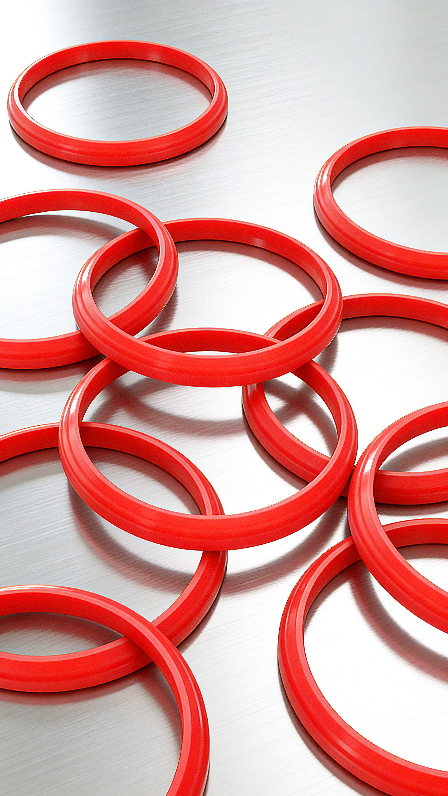 馬鞍型防塵密封圈DAM-2000 (21)