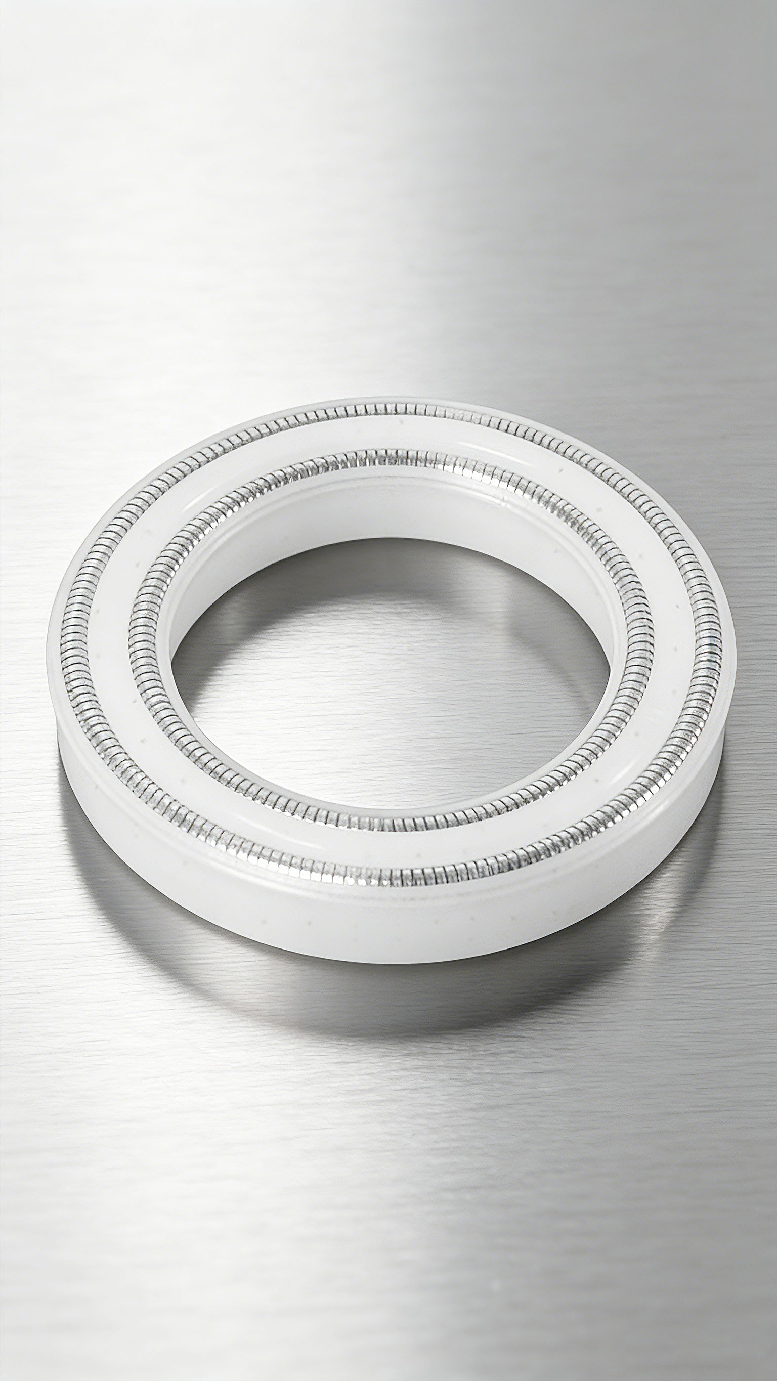 雙層彈簧泛塞封密封件2000 (2)