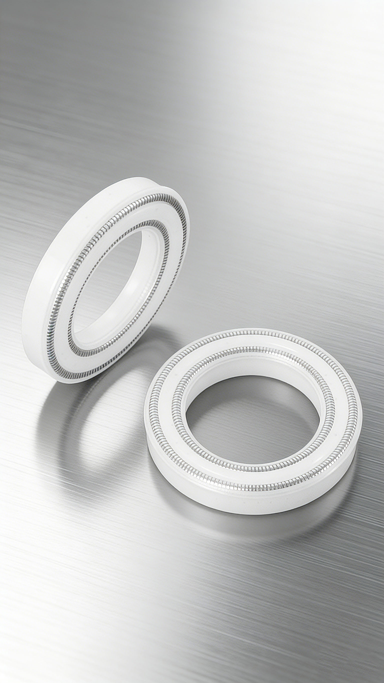 雙層彈簧泛塞封密封件2000 (2)