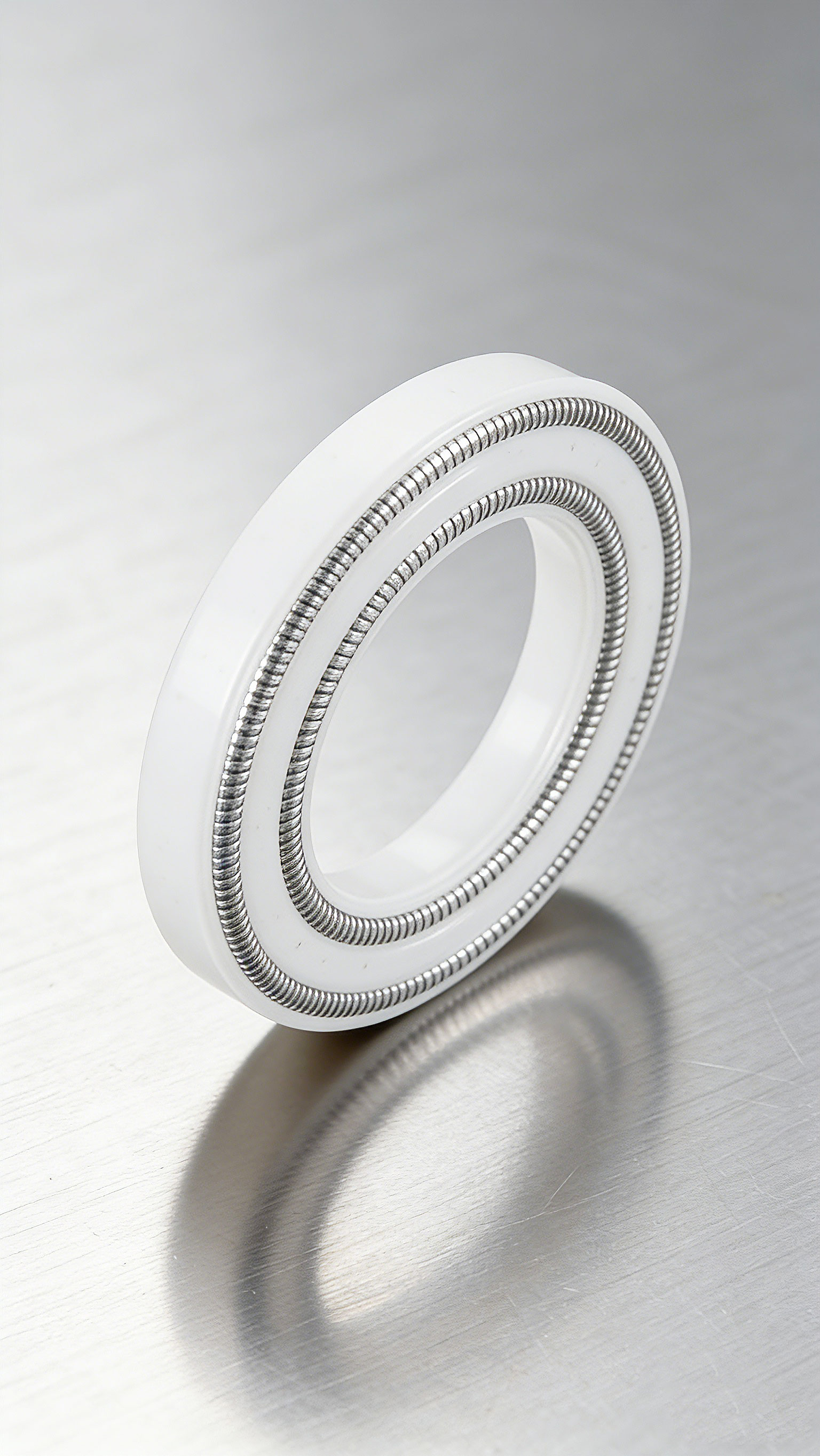 雙層彈簧泛塞封密封件2000 (10)