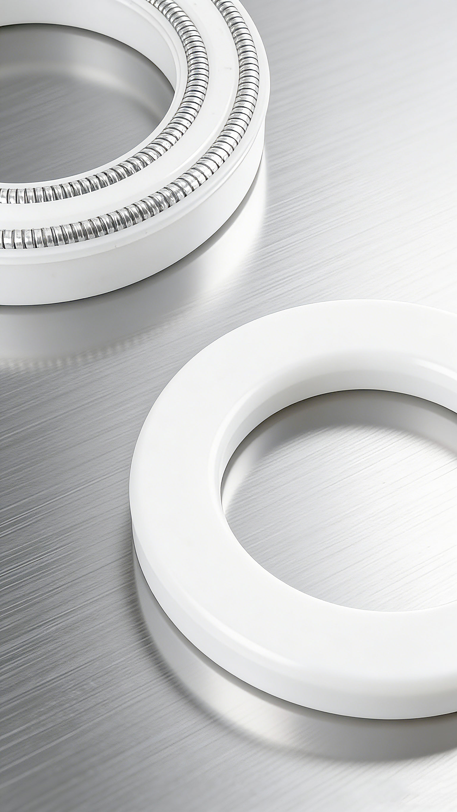 雙層彈簧泛塞封密封件2000 (10)