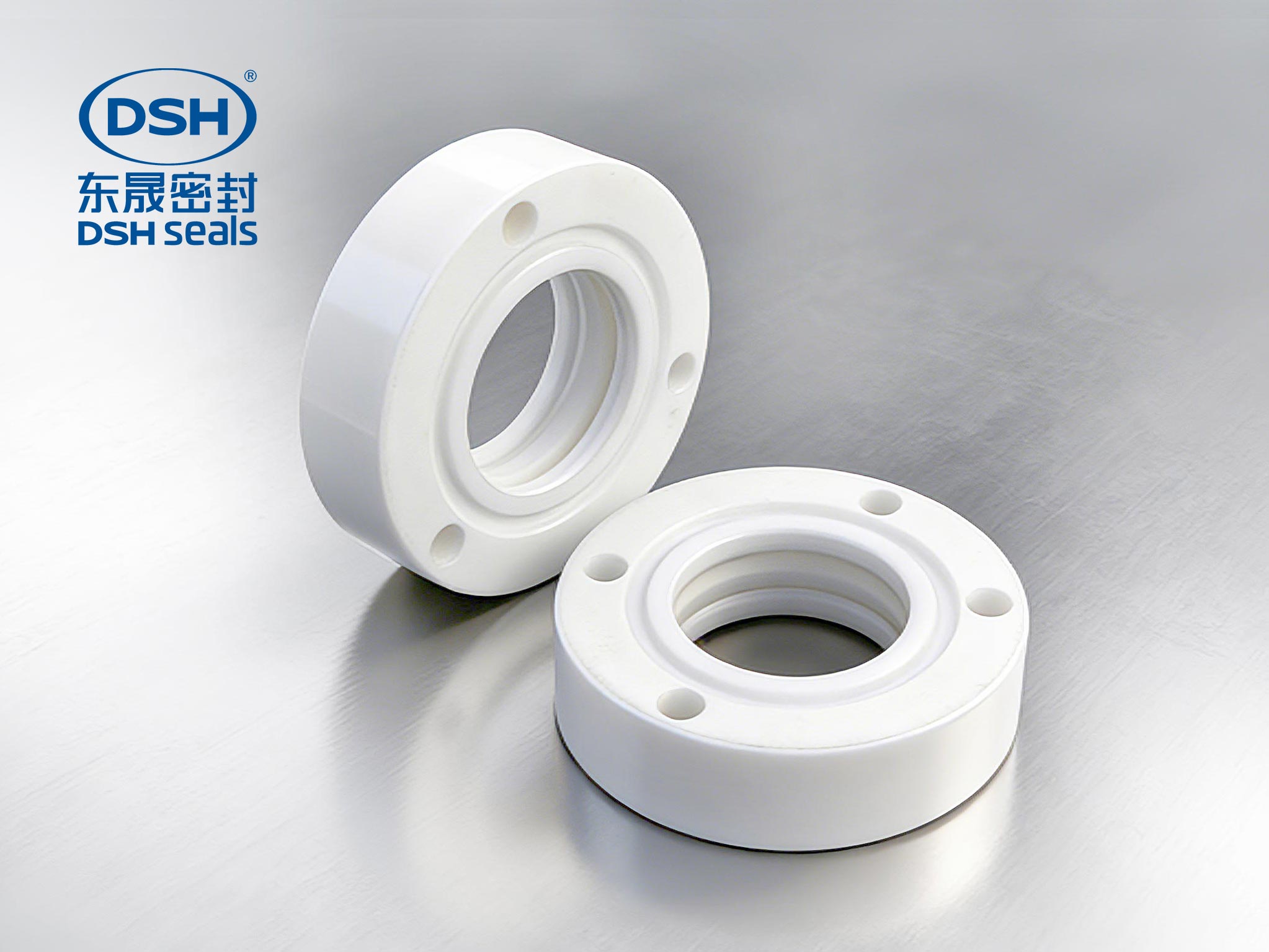 聚四氟乙烯密封件-散件800