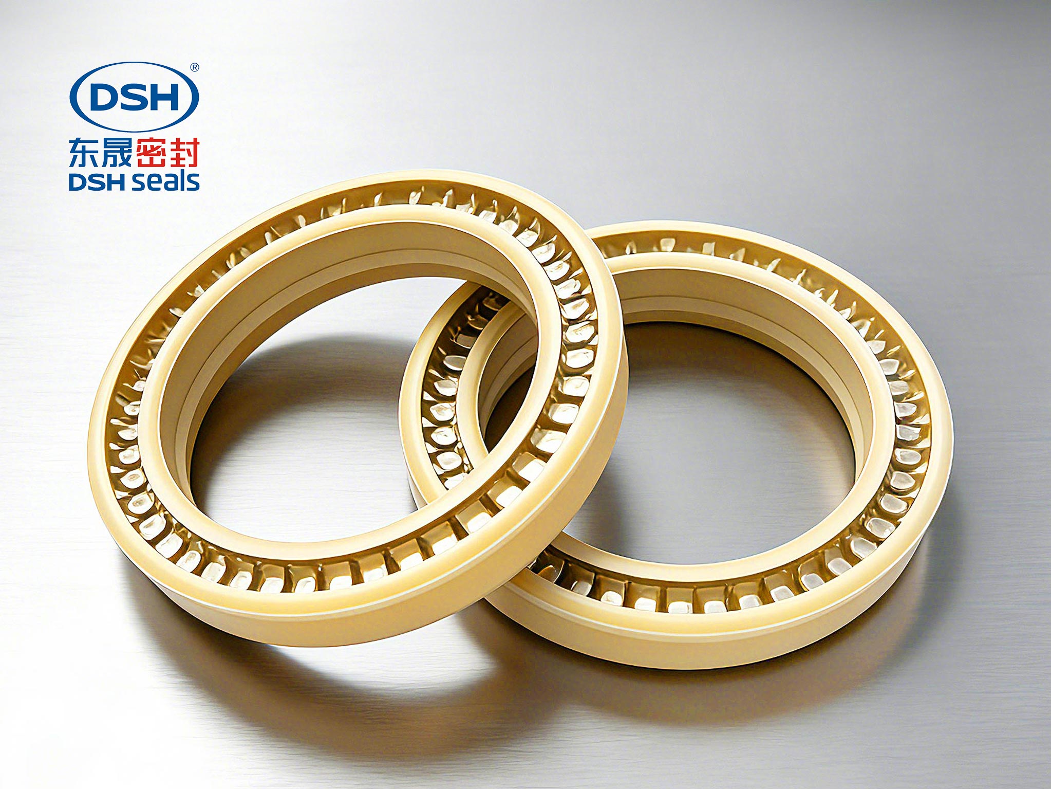 孔用彈簧密封件Piston450