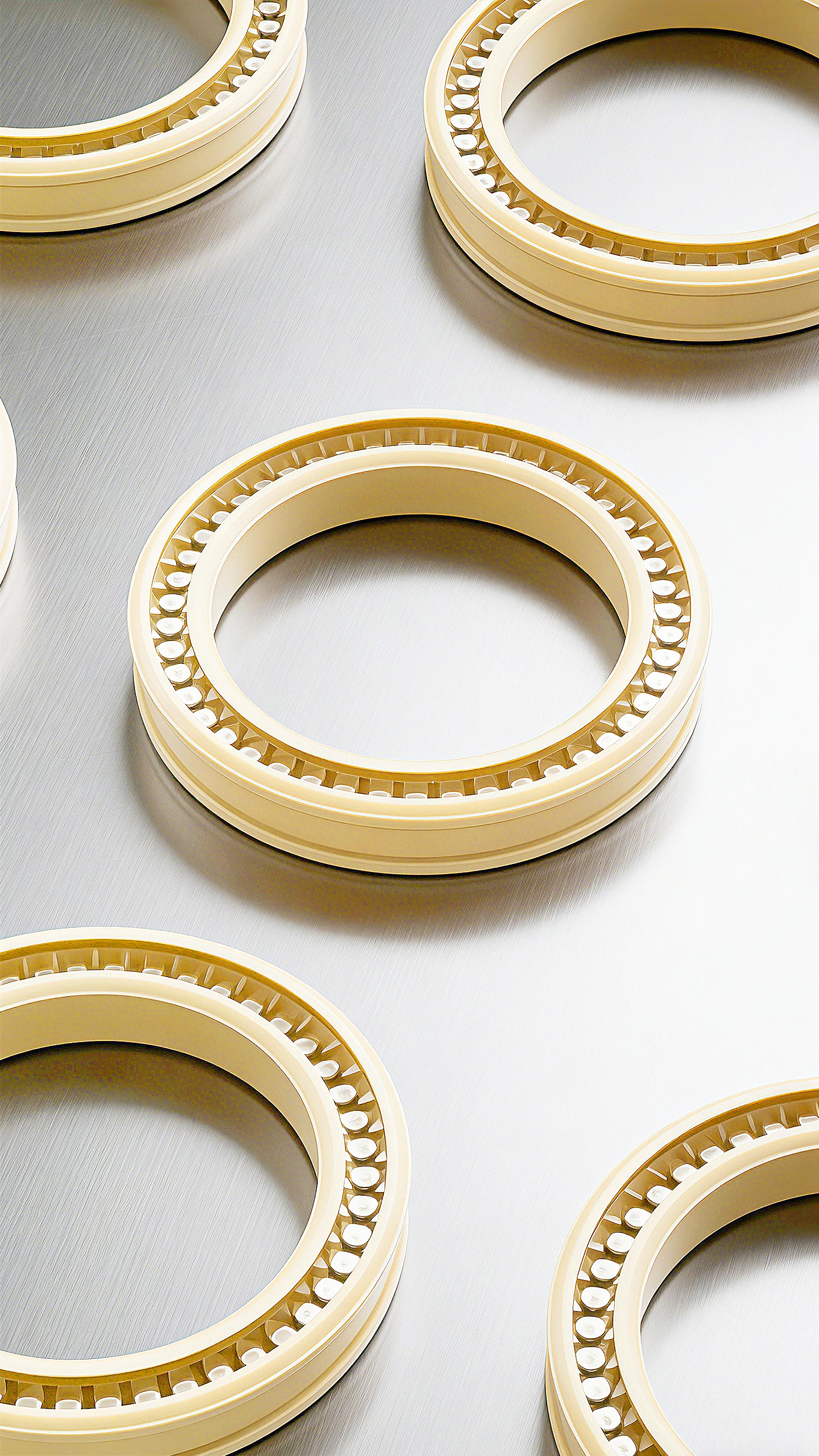 孔用彈簧組合密封件Piston