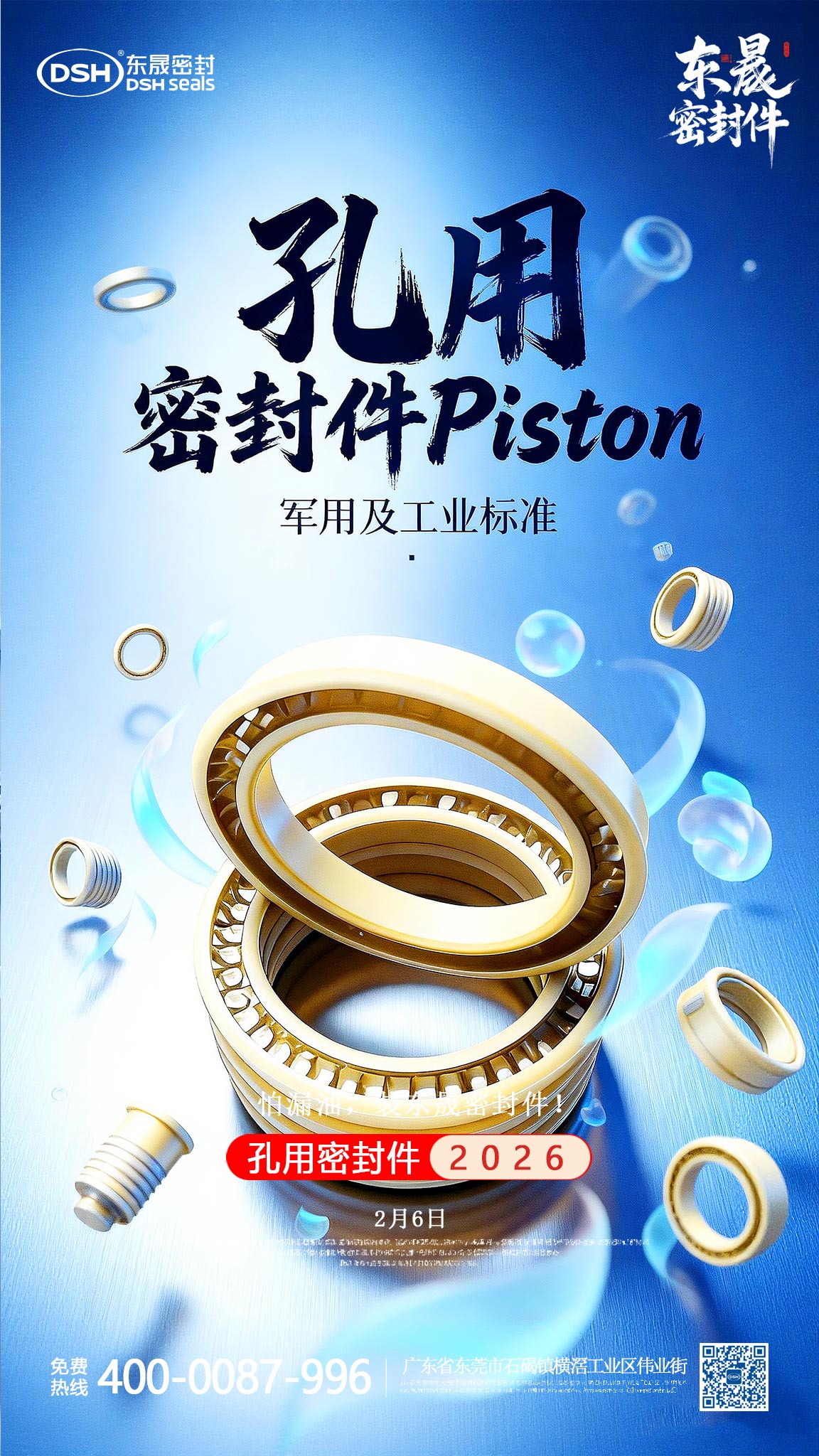孔用彈簧密封件Piston海報(bào) (1)