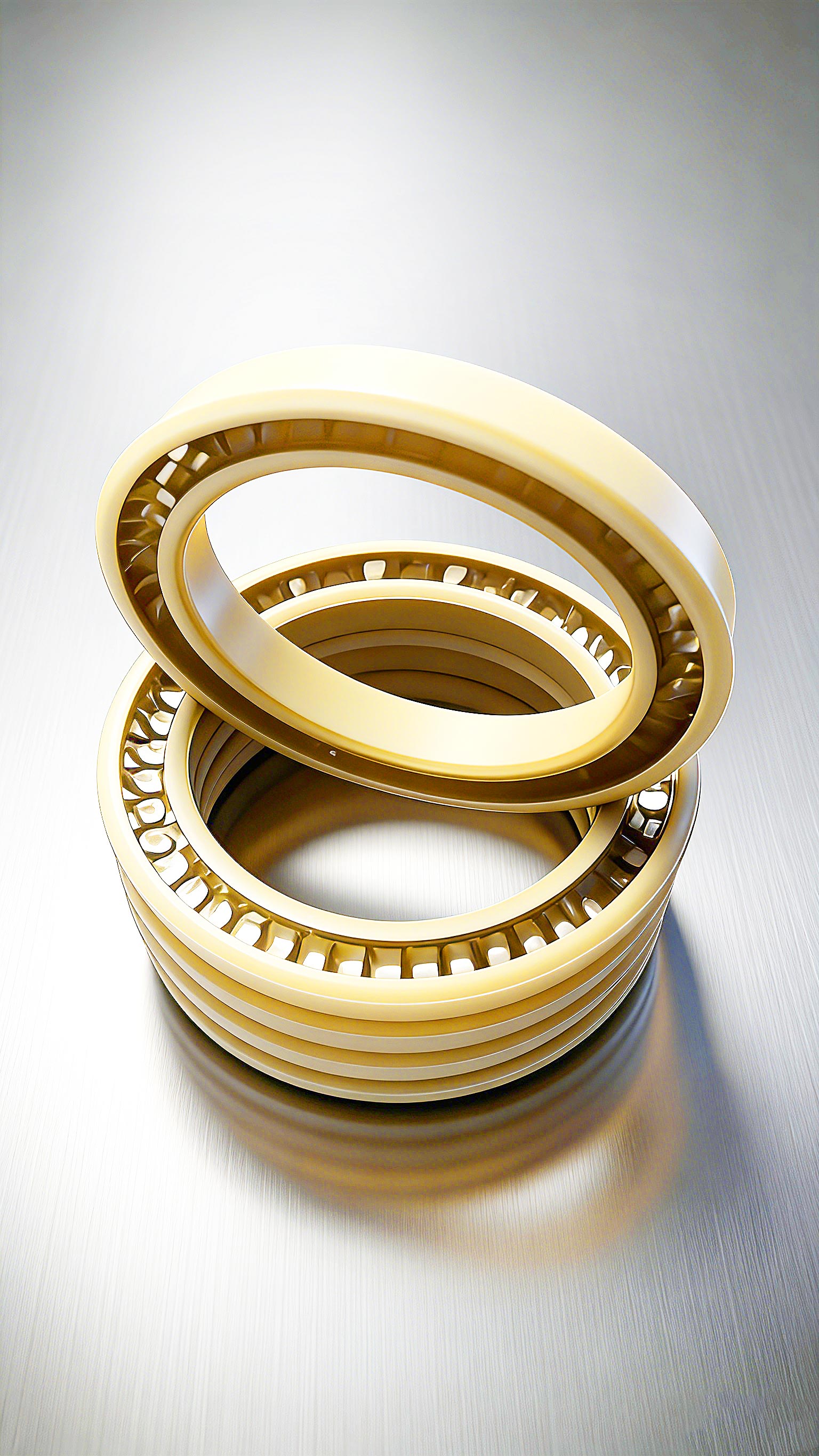 孔用彈簧密封件Piston