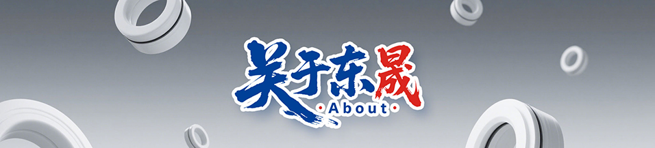 東晟優(yōu)勢(shì) - 廣東東晟密封科技有限公司1