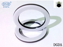 組合密封件DGDA