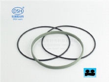 雙O型組合防塵圈DPE