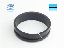 軸用帶刮唇導向環(導向套)DFAI