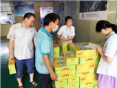 夏日炎炎，東晟密封給你送清涼