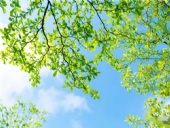 東晟密封與你一起歡度端午佳節