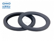 全四氟油封(PTFE)B1型
