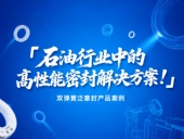 ?雙彈簧泛塞封產品案例 ? 石油行業中的高性能密封解決方案！?