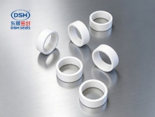 導(dǎo)向環(huán)DST